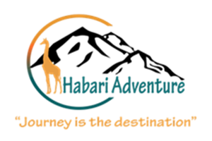 Habari Adventure pic